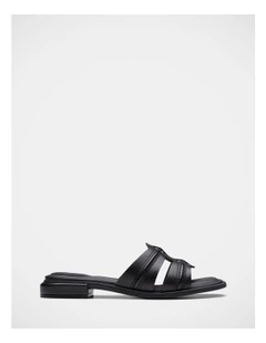 Ariany Mule in Black