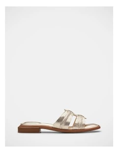 Ariany Mule in Champagne