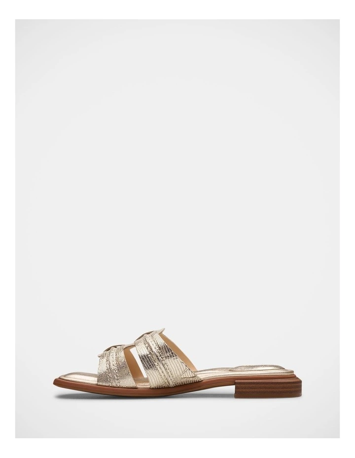 Ariany Mule in Champagne image 2