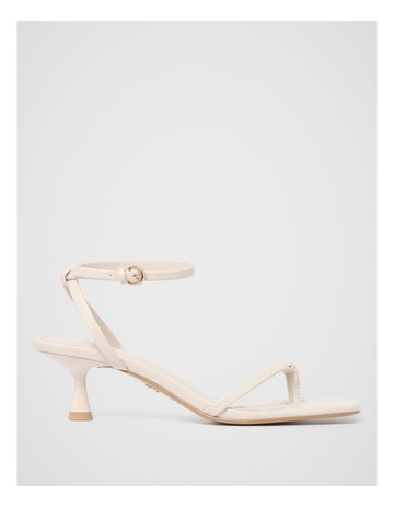 Ivory colour