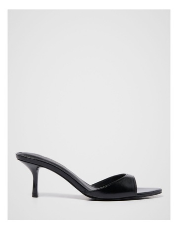 Black colour