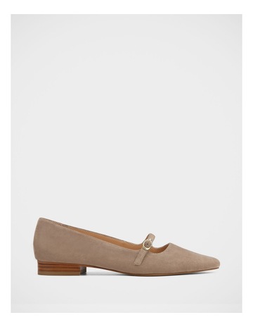 Taupe colour