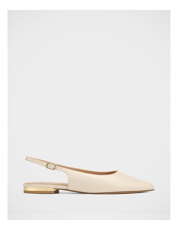 Ivory colour