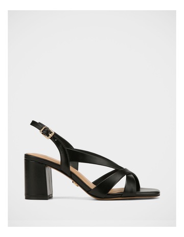 Black colour