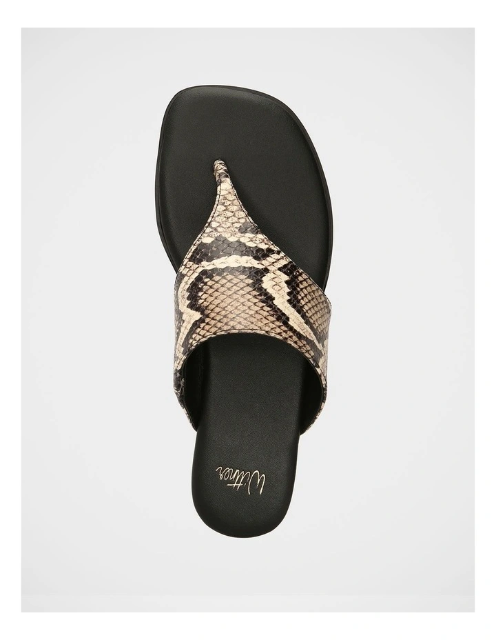 Blossom Leather Flat Sandals in Snake Print image 5