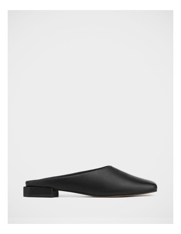 Black colour
