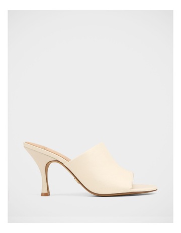 Ivory colour