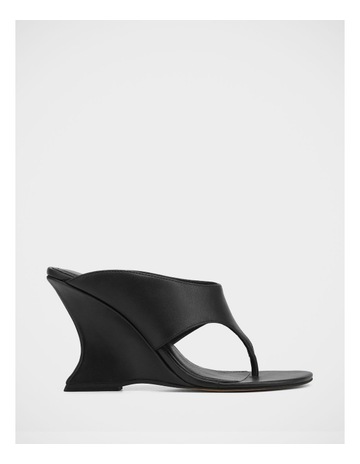 Black colour