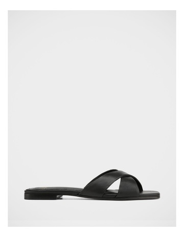 Black colour