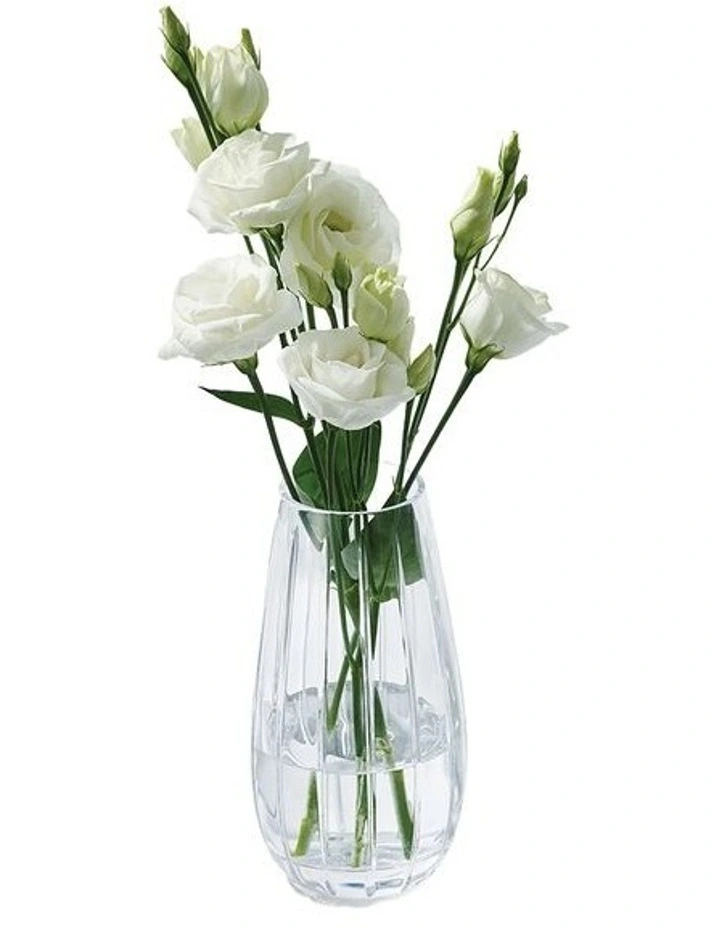 Herald Bud Vase 15cm in Clear image 3