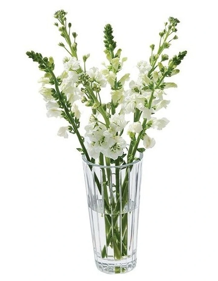 Herald Vase 25cm in Clear image 3