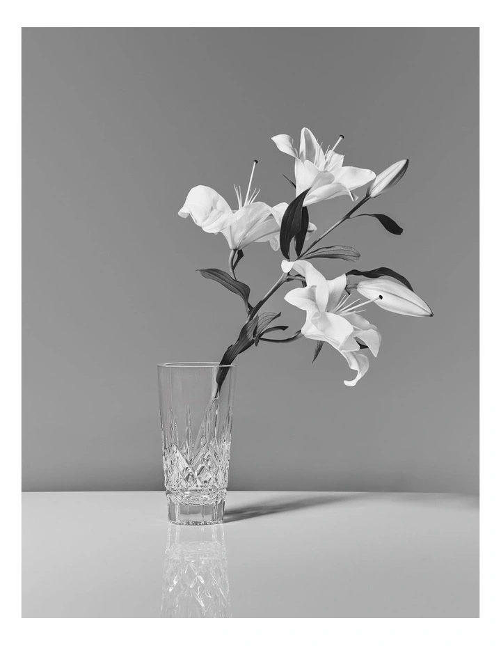 Lismore Vase 25cm in Clear image 4