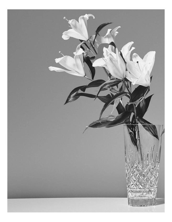 Waterford Lismore Vase 30cm In Clear MYER