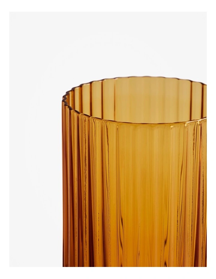 Vivi Tumbler Set Of 2 in Amber image 3
