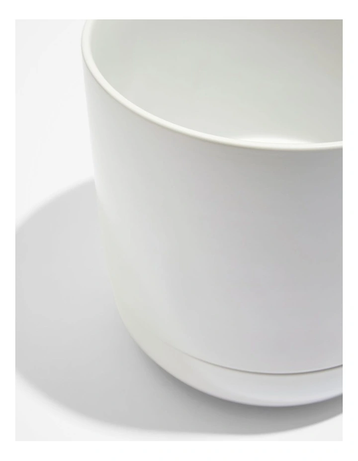 Andy Planter Large in Snow image 2