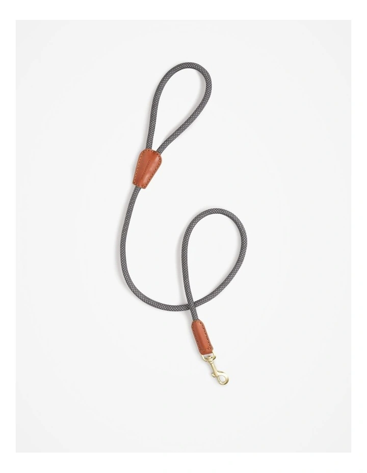 Alfie Recycled Polyester Small Pet Lead in Lake Grey image 1