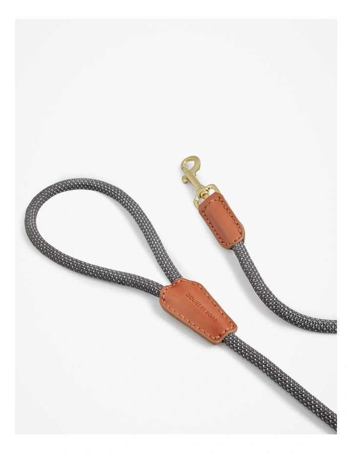 Alfie Recycled Polyester Small Pet Lead in Lake Grey image 2