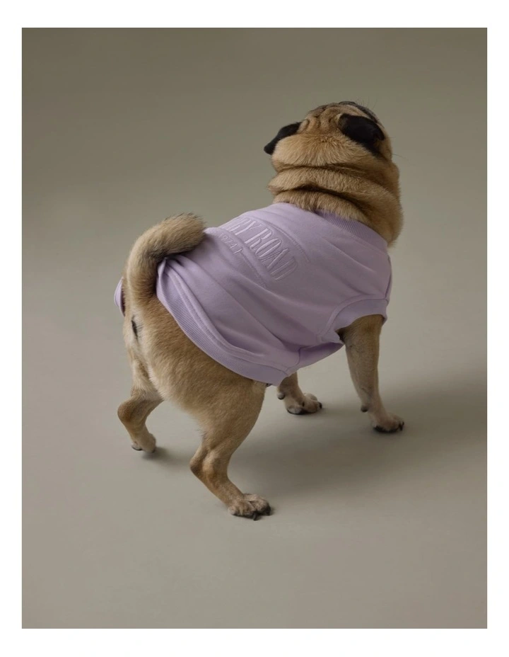 Enzo Australian Cotton Pet Heritage Sweat in Icing image 2