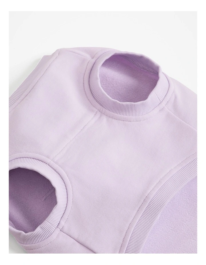Enzo Australian Cotton Pet Heritage Sweat in Icing image 3