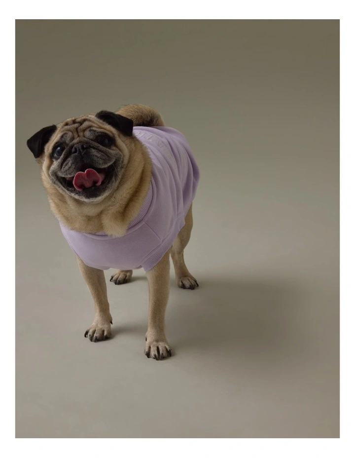 Enzo Australian Cotton Pet Heritage Sweat in Icing image 4