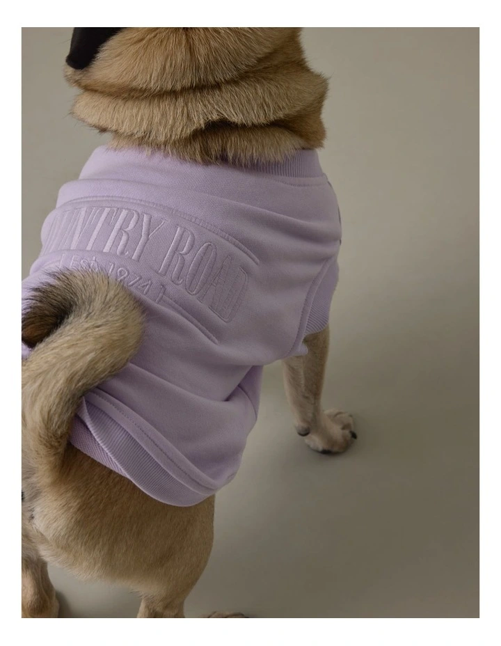 Enzo Australian Cotton Pet Heritage Sweat in Icing image 5
