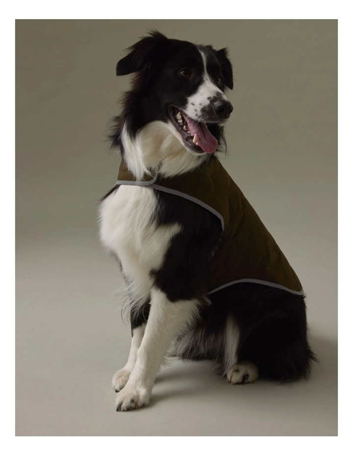 Royal Rain Vest in Khaki image 2