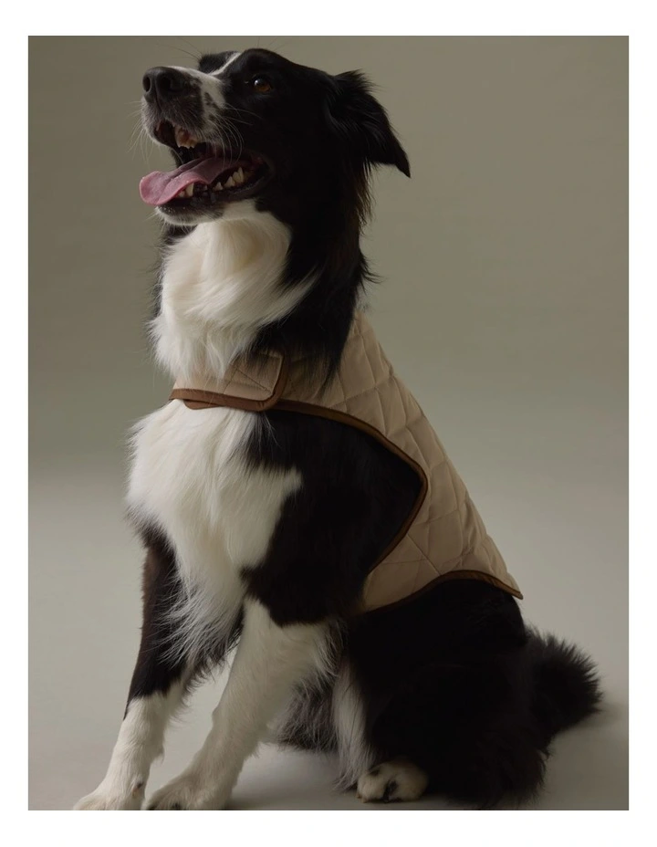 Royal Rain Vest in Cobblestone image 4