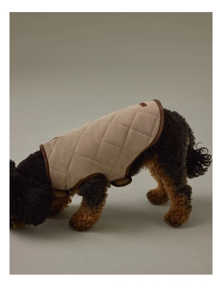 Royal Rain Vest in Cobblestone image 5