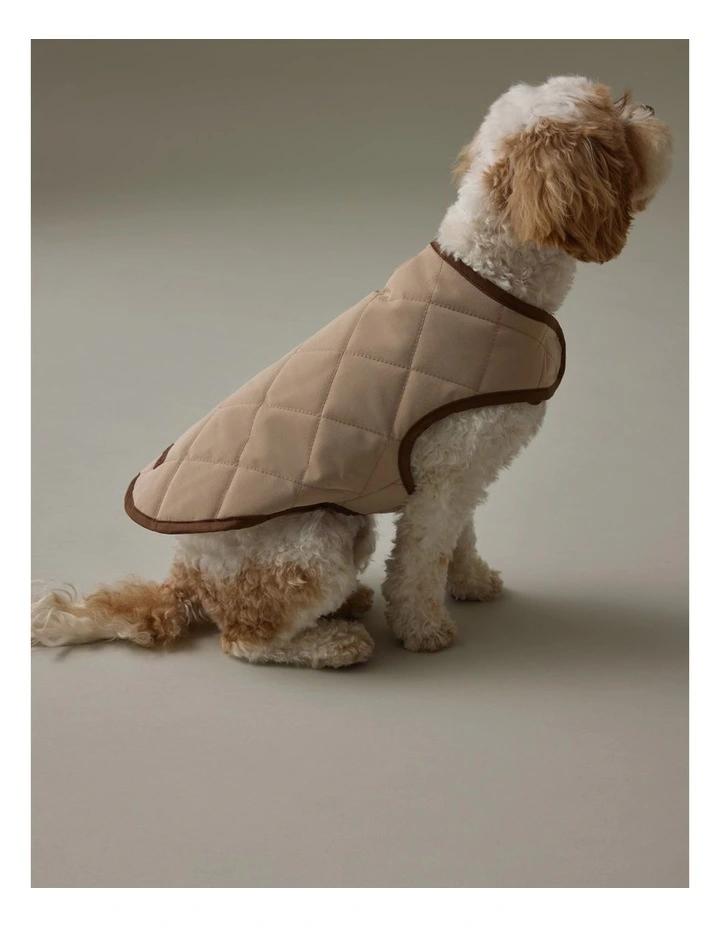 Royal Rain Vest in Cobblestone image 6