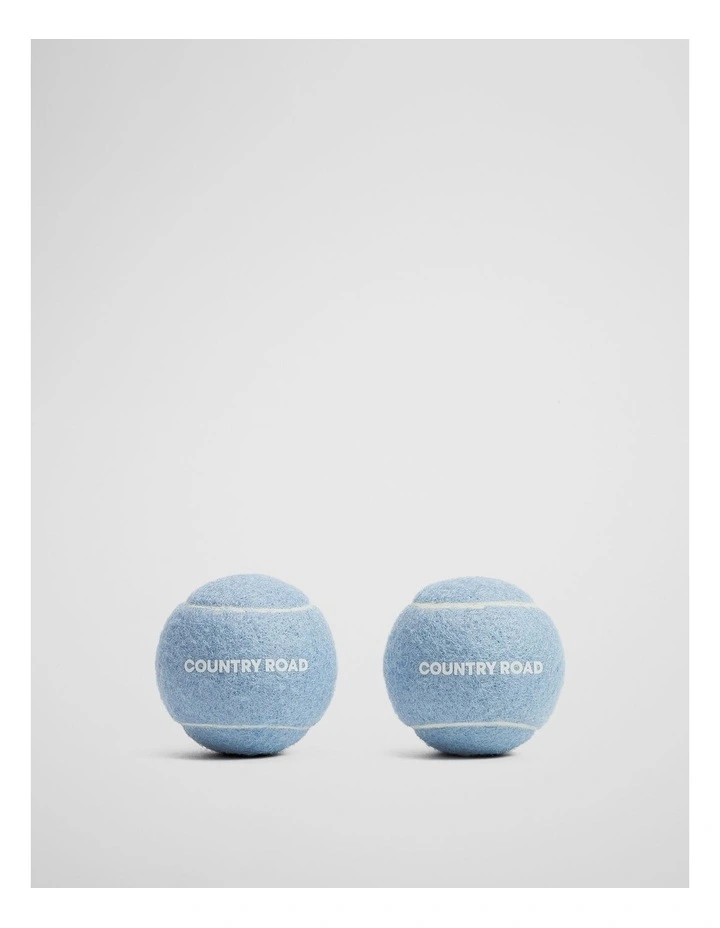 Pet Ball Pack Of 2 in Lake image 1