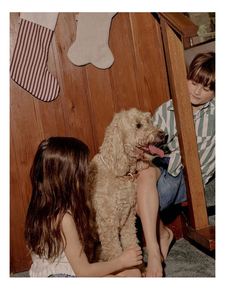 Pet Christmas Stocking in Natural Stripe image 2