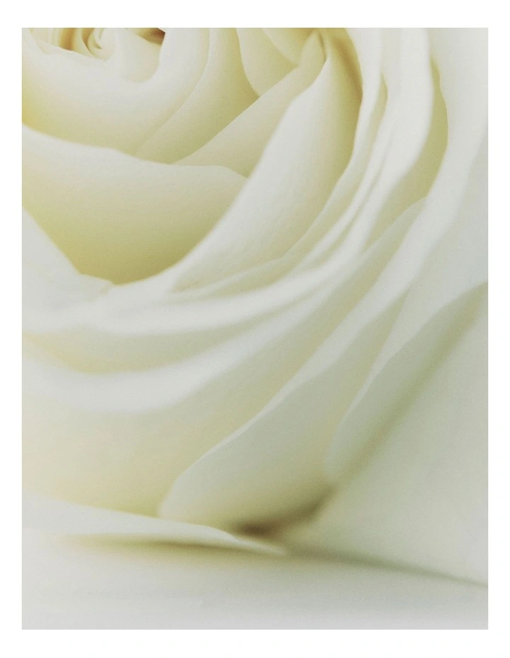 Australian Made Rose & Oud Hand Wash 500ml in Rose And Oud image 3