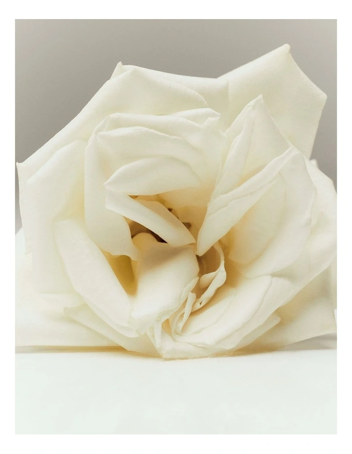Australian Made Rose & Oud Room Spray 100ml in Rose And Oud image 4