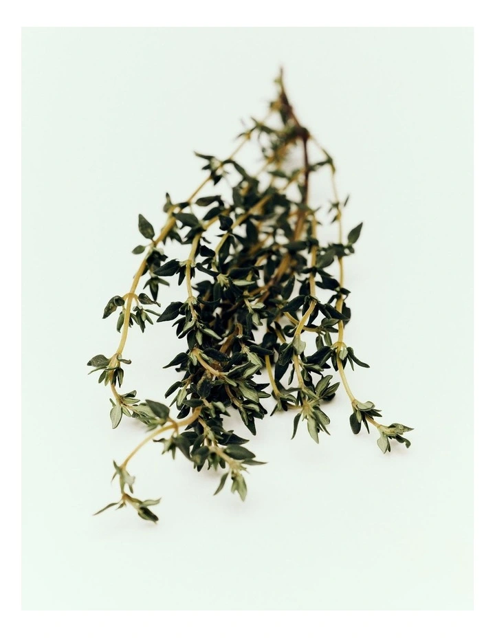 Australian Made Vetiver & Thyme Room Spray 100ml in Vetiver And Thyme image 4