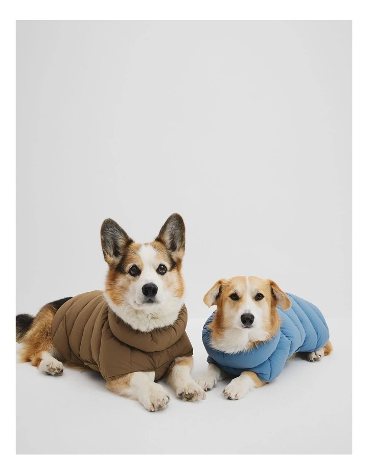 Felix Puffer in Lake image 1