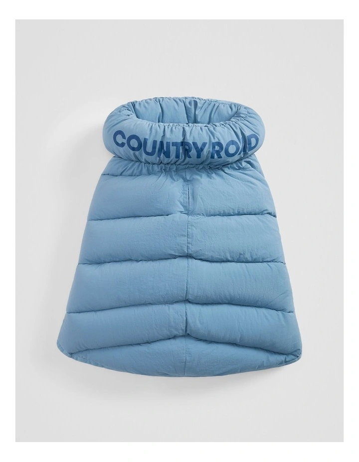 Felix Puffer in Lake image 2