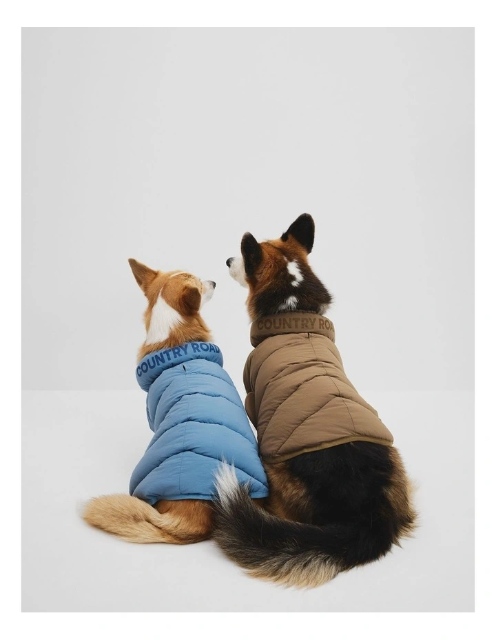 Felix Puffer in Lake image 5