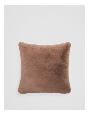 Nutmeg colour