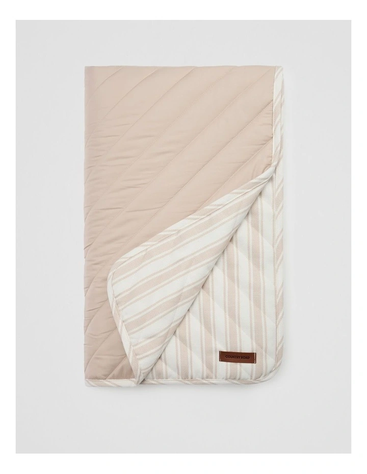 Somers Picnic Blanket in Natural Stripe image 2