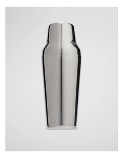 Polly Shaker Set in Silver