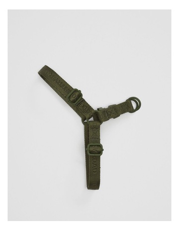 Dark Olive colour