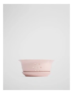 Olinda Berry Bowl Set in Bud