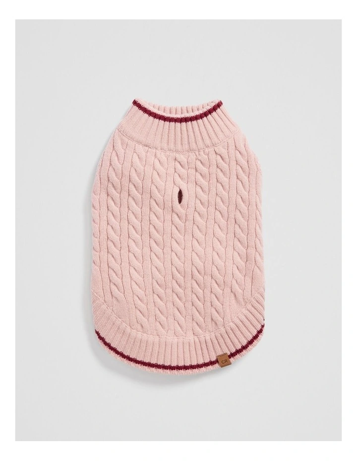 Henderson Jumper in Musk image 1