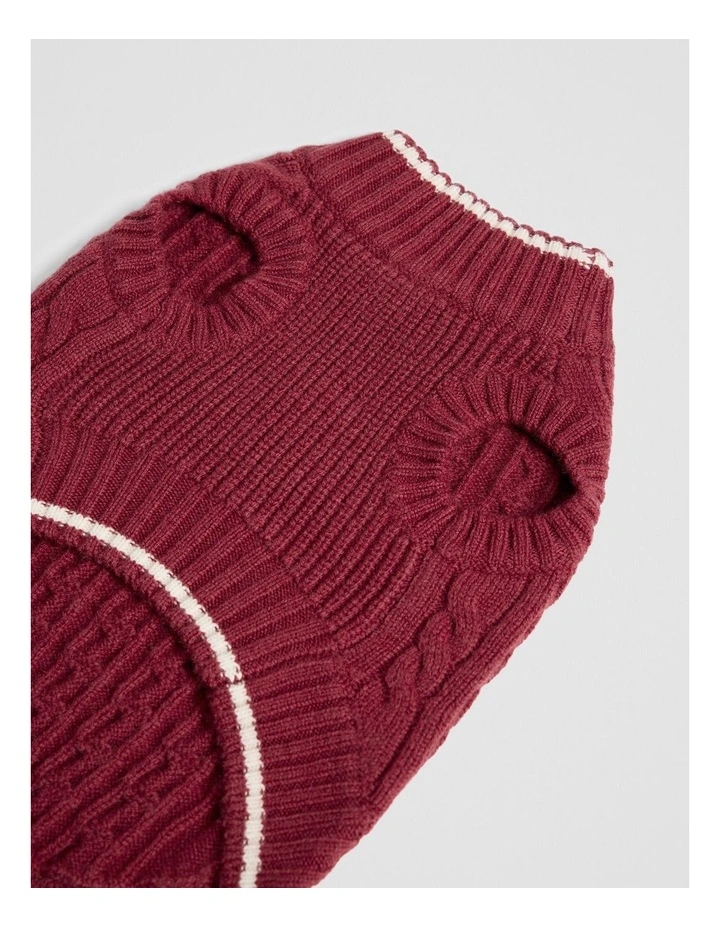 Henderson Jumper in Carmine image 2