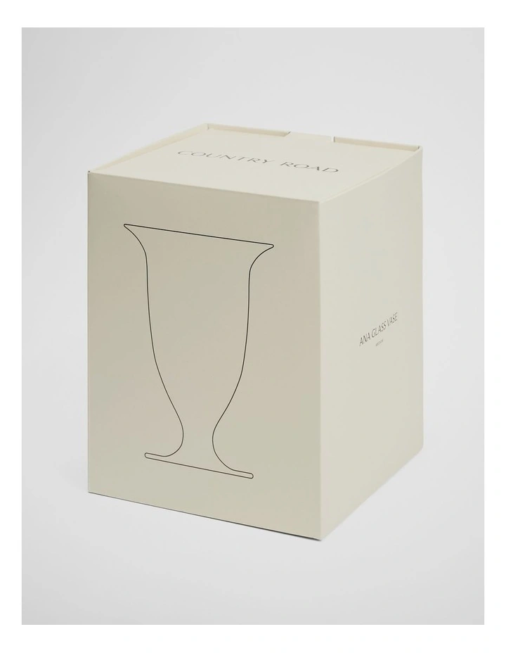 Ana Medium Glass Vase in Clear image 4