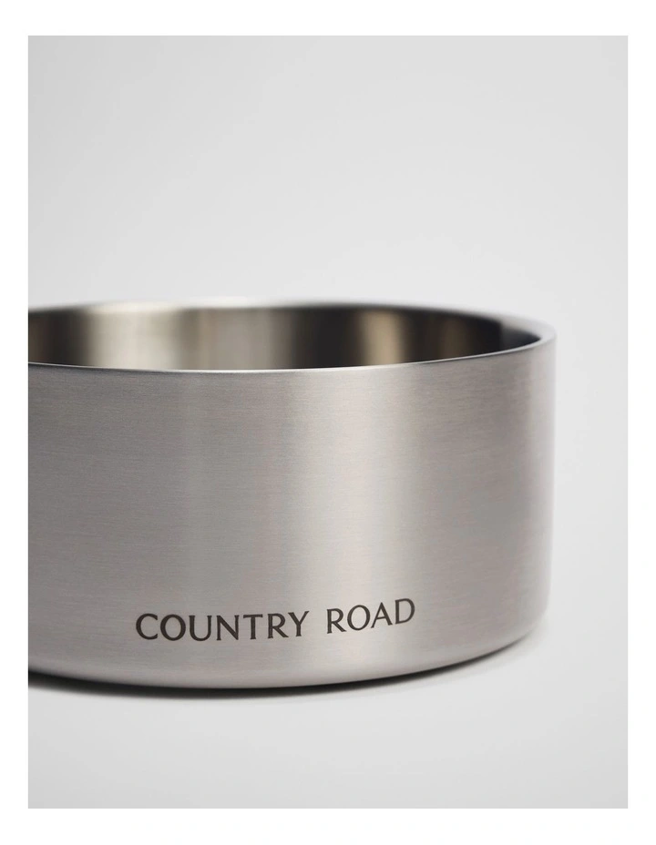 Axel Small Metallic Pet Bowl in Silver image 2
