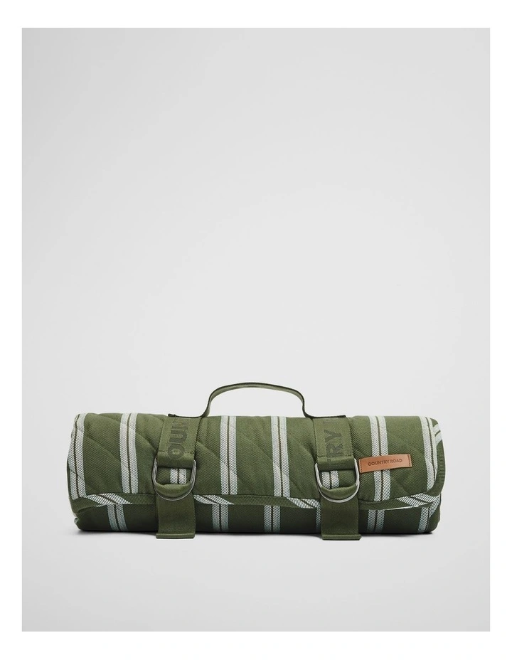 Brie Picnic Blanket in Dark Olive Stripe image 1