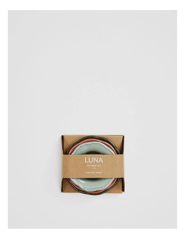 Luna Dip Bowl Set Of 3 in Multi image 4