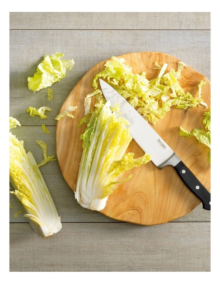 Baccarat Sabre Knife Block 9 Piece in Beige image 4