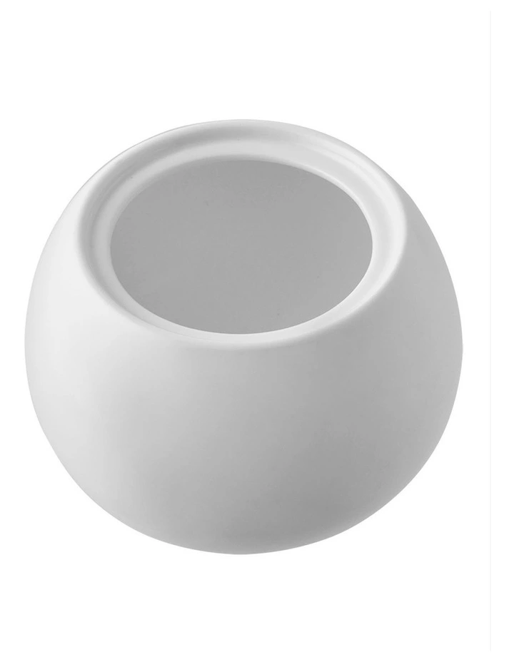 Alex Liddy Aquis Sugar Bowl image 4